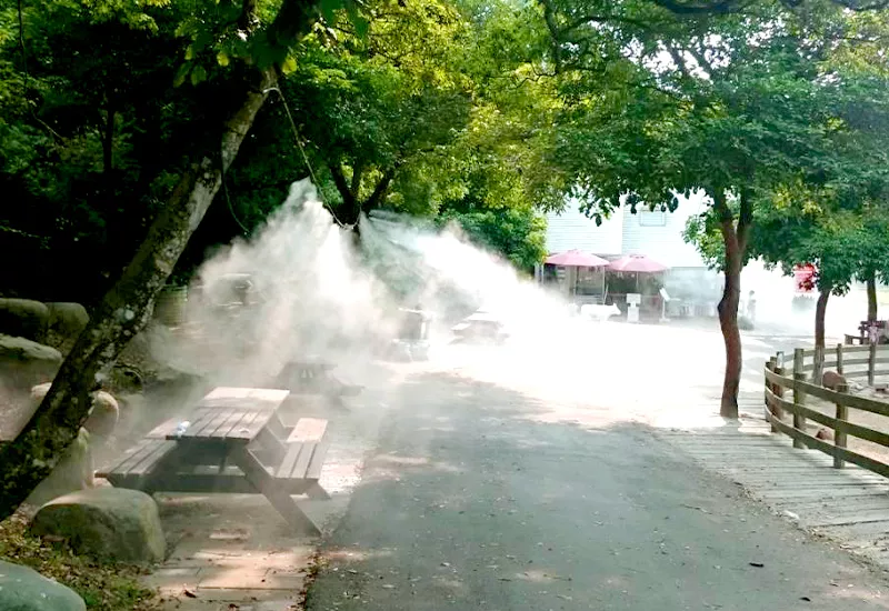 小神通實際案例照1